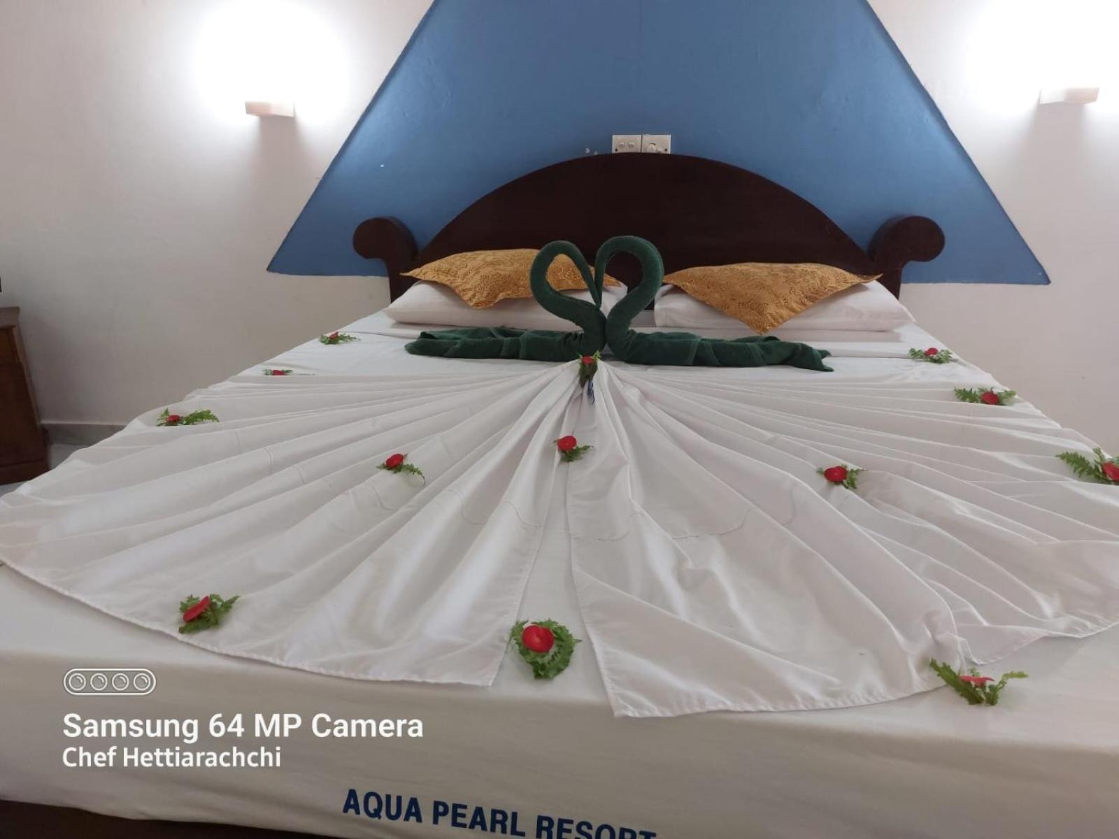 帕讷杜勒 Aqua Pearl Bolgoda Lake酒店 外观 照片